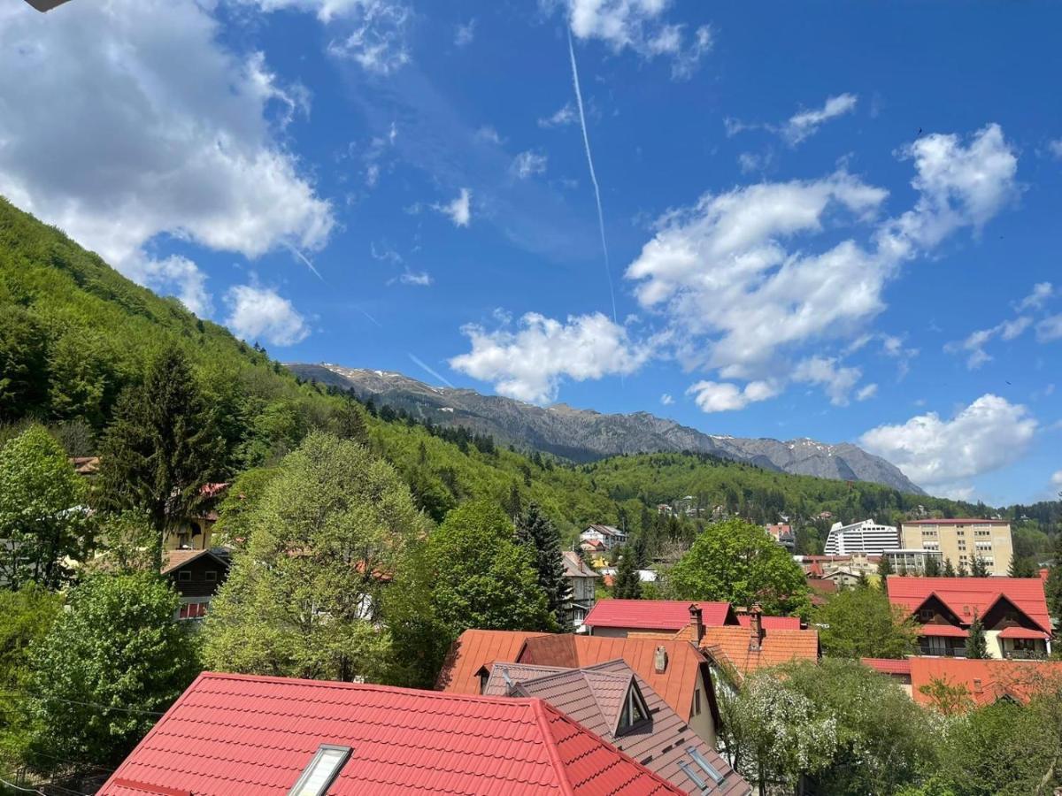 Ferienwohnung Mountain View Sinaia Exterior foto